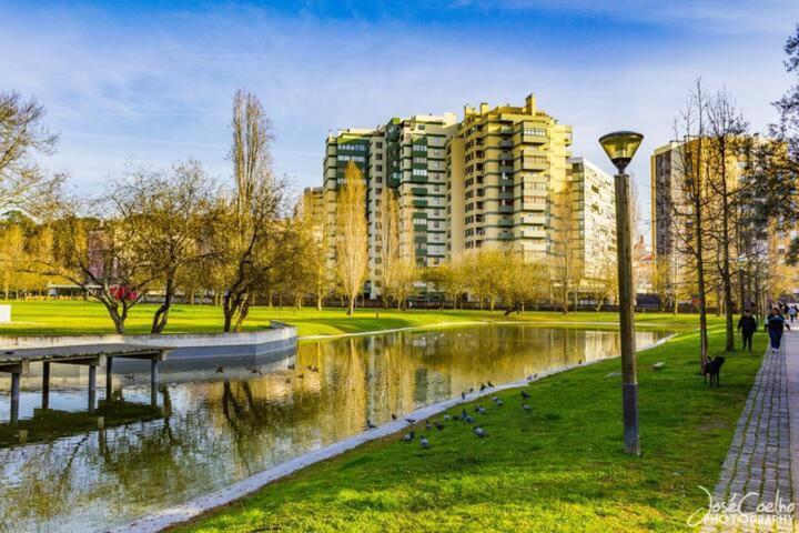 Green Executive Apartment In The Heart Of Lisboa Εξωτερικό φωτογραφία